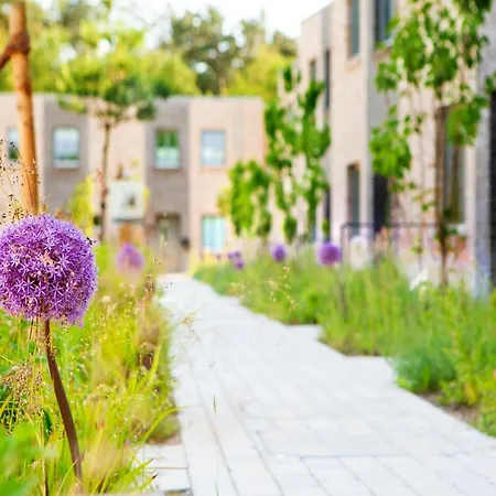 Aalernhues Residences In St Peter-ording